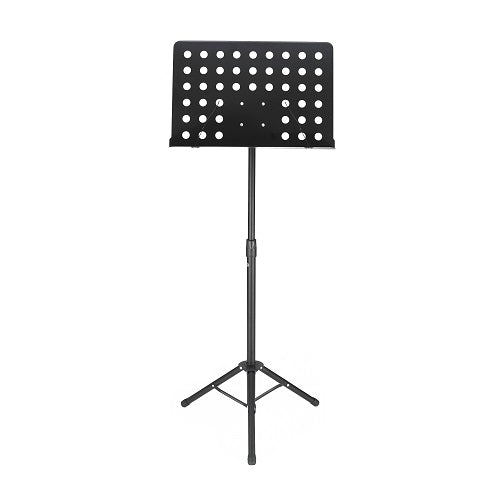PSM1E Stand Platinum music