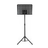 PSM1E Stand Platinum music