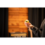 FSA4 Juego de 4 Shakers