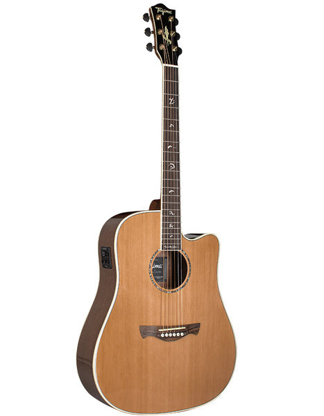 JUNINHO AFRAM EQ Guitarra Acústica