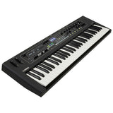 CK61 Stage keyboard