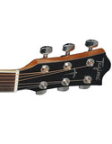 WS-35 EQ NT Guitarra Electro Acústica