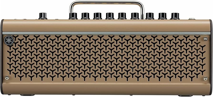 THR30IIA Wireless El amplificador de sobremesa acústico original