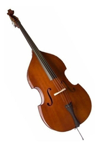 OB160F 3/4 OUTFIT 3/4 Orchesta contrabajo con arco y perrubia