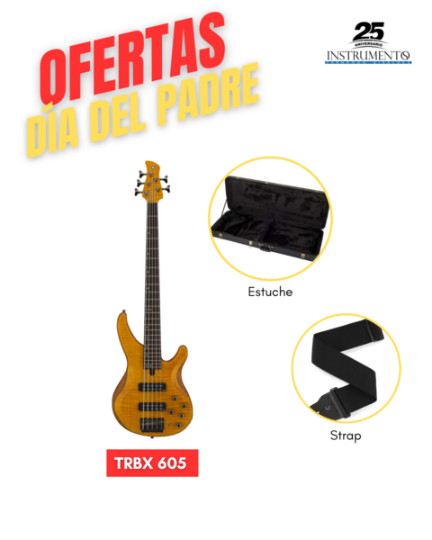 Combo Bajo Electrico + estuche duro + strap para bajo