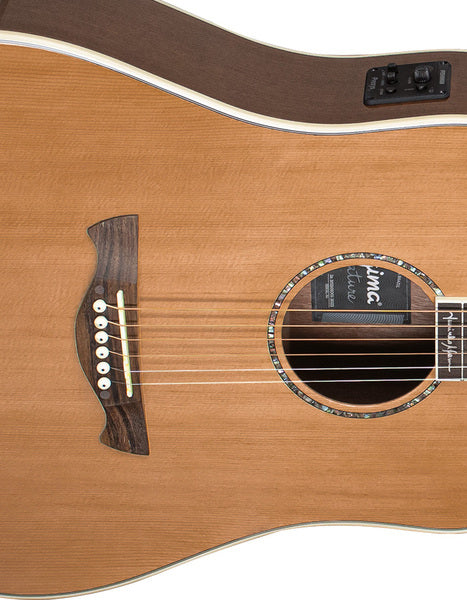JUNINHO AFRAM EQ Guitarra Acústica