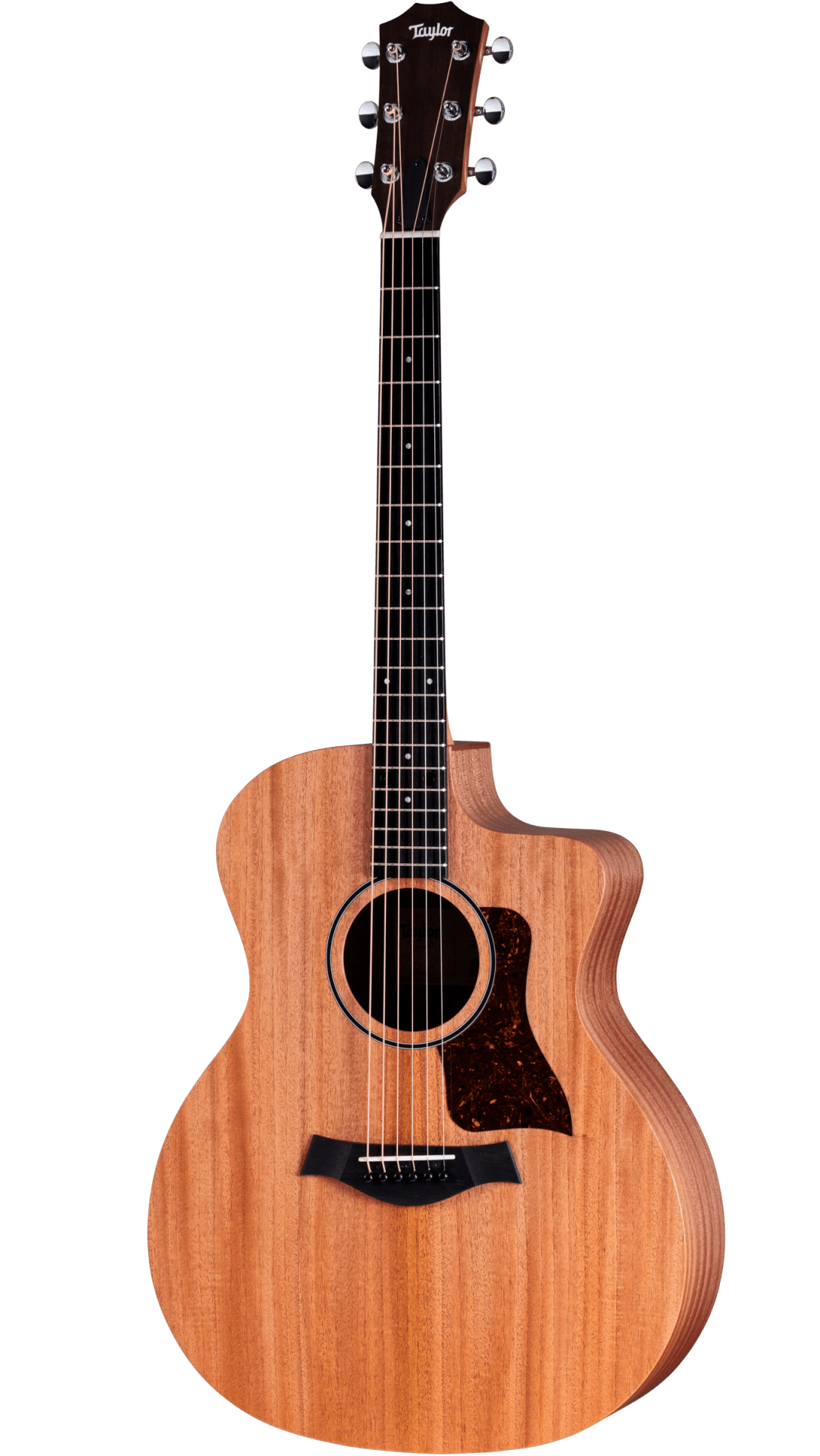 24ce  Guitarra Taylor Electroacústica
