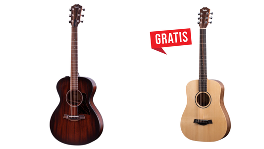 Taylor AD22E American Dream + Baby Taylor BT1E GRATIS