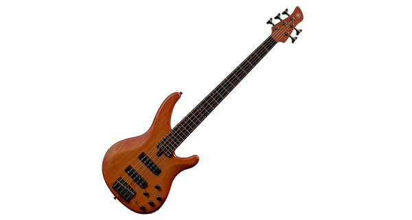 TRBX505 BRB Bajo eléctrico Brick Burst