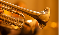 Instrumentos Fernando Giraldez